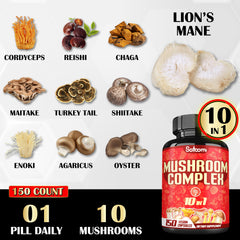 Satoomi Lions Mane Cordyceps blend image emphasizes focus.