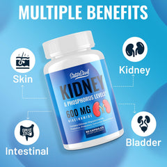 SatorSeed kidney support bottle label close-up highlighting ingredients.