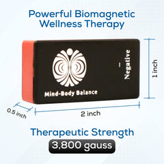 SaveMeMagnets color-coded tools help distinguish polarity for intuitive, accessible use