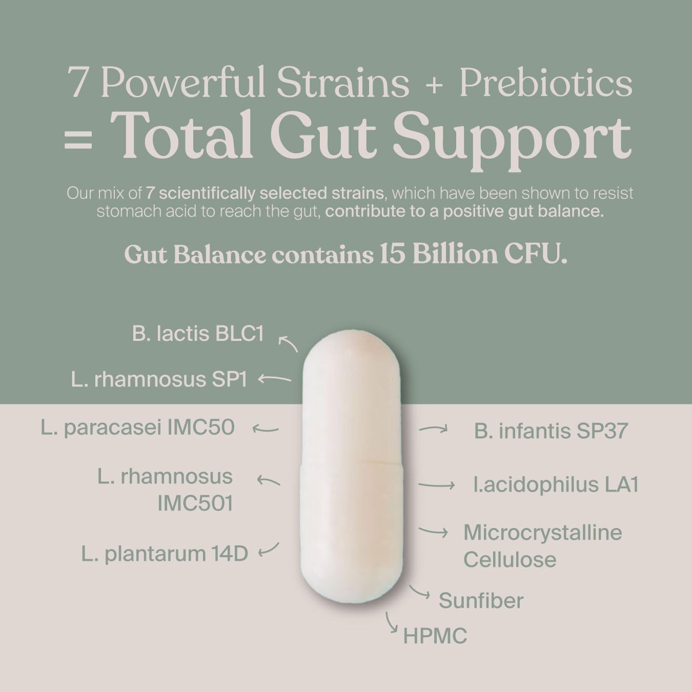 SAVVY Gut Balance Probiotics bottle beside water for convenient daily intake