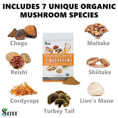 Sayan 7 Mushrooms powder texture close-up with earthy, blendable consistency.