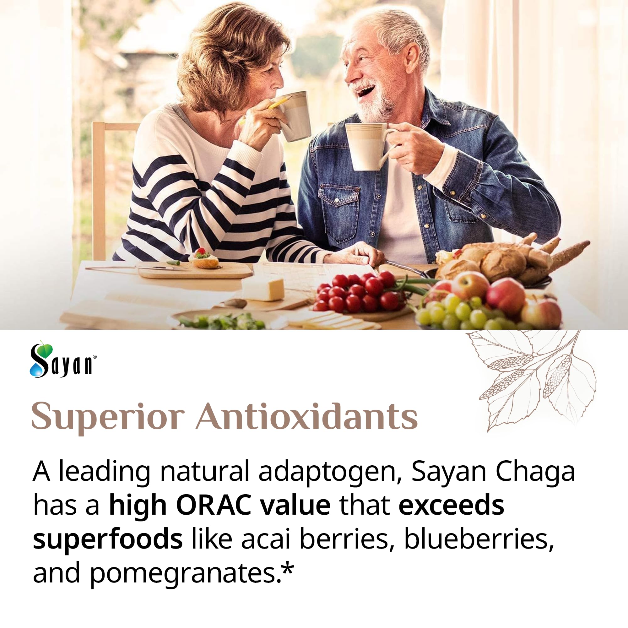 Sip-ready chaga tea or beverage featuring Sayan Chaga for wellness moments.