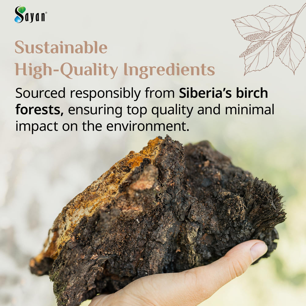Forest scene emphasizing sustainable sourcing from Siberian birch forests.