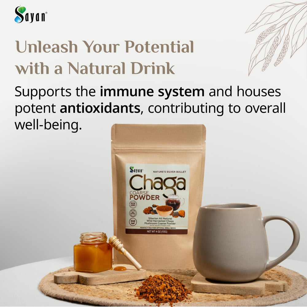 Sayan chaga powder loose dust close-up for brewing antioxidant tea