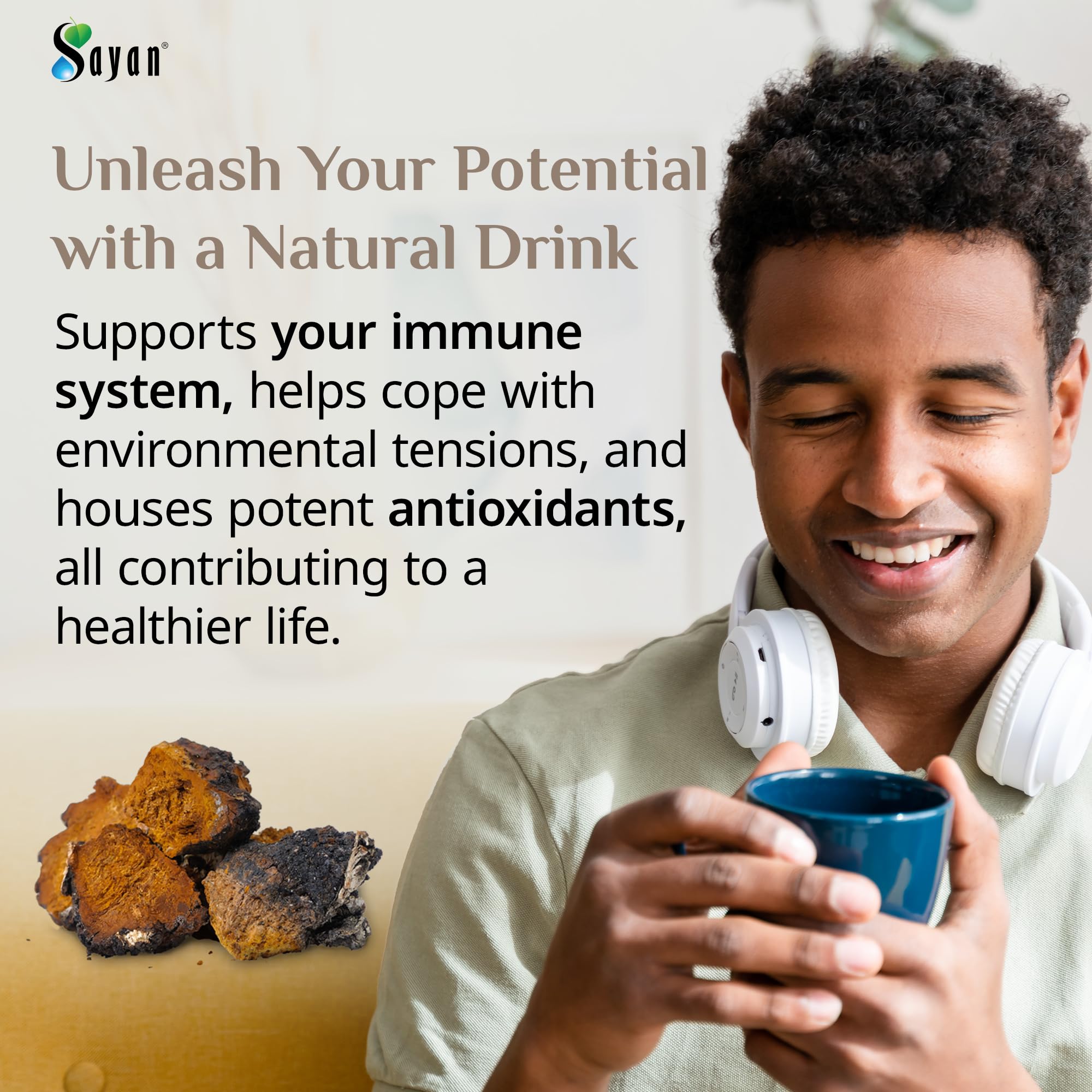 Sayan Siberian Chaga chunks steeping, supporting digestion and nutrient absorption.