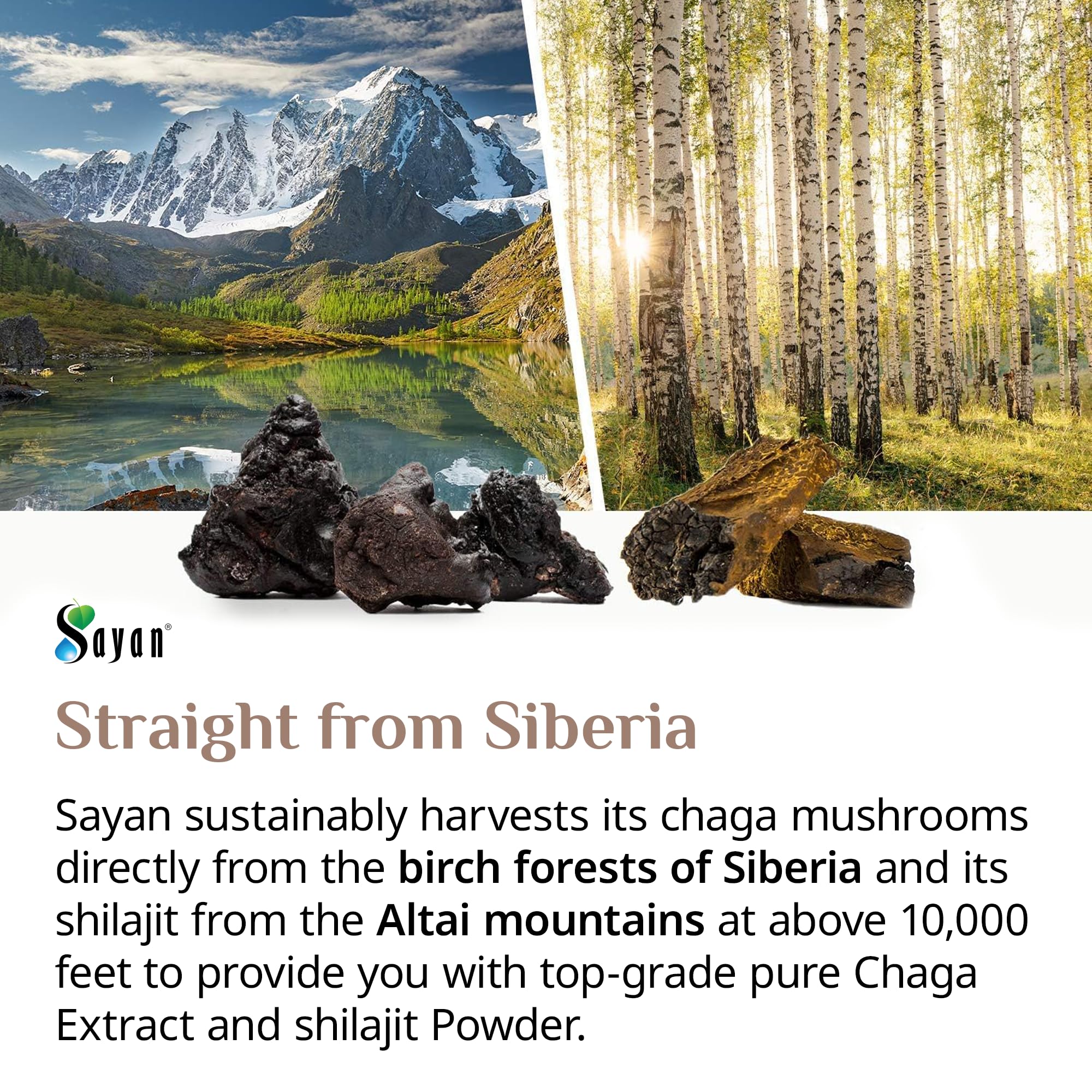 Sayan Chaga Extract eco-packaging appeals to mindful, sustainable shoppers