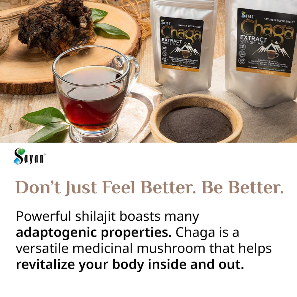 Sayan Chaga Extract with Fulvic Acid suggests nutrient absorption support