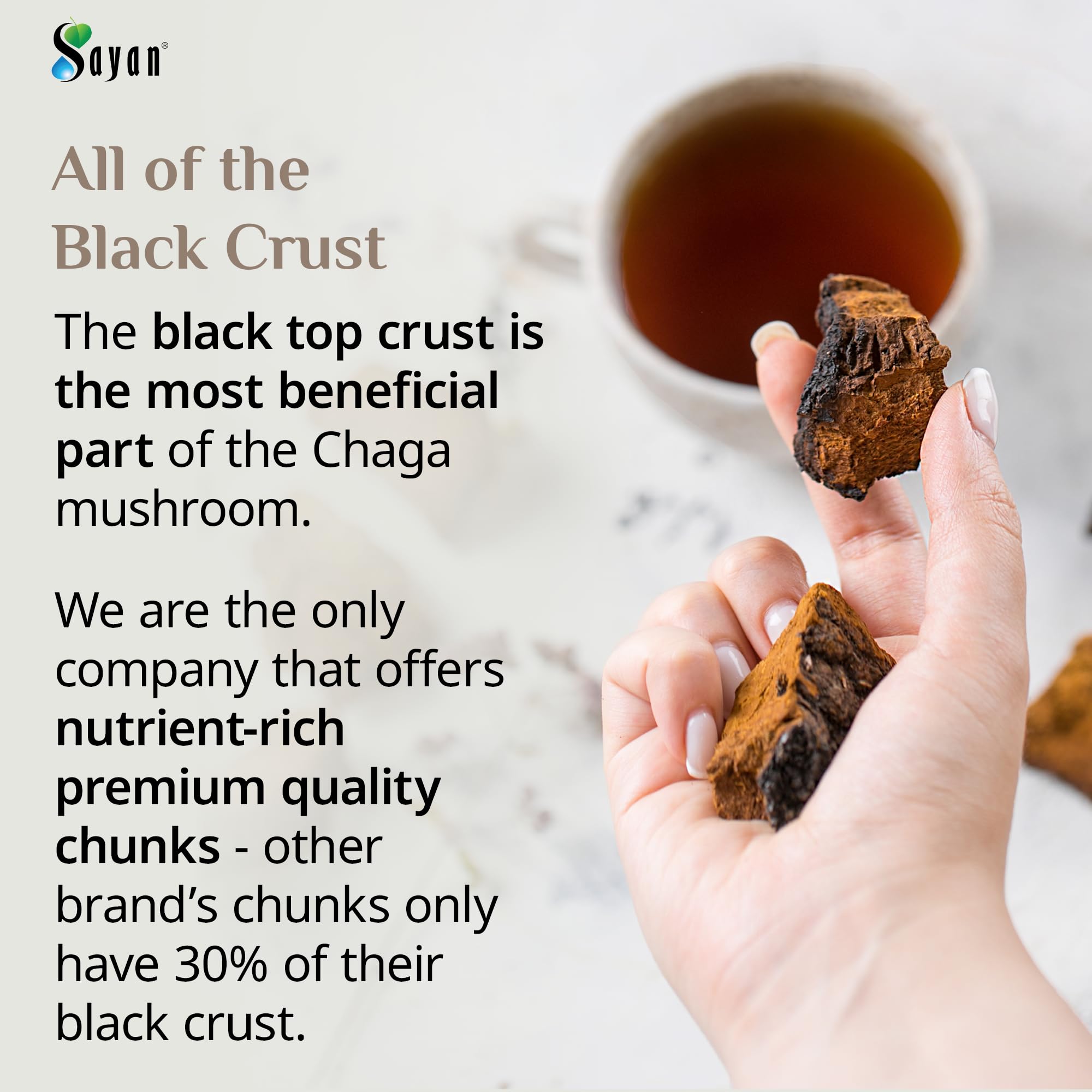 Sayan Siberian Chaga tea brewing in a pot, caffeine-free energy lift.