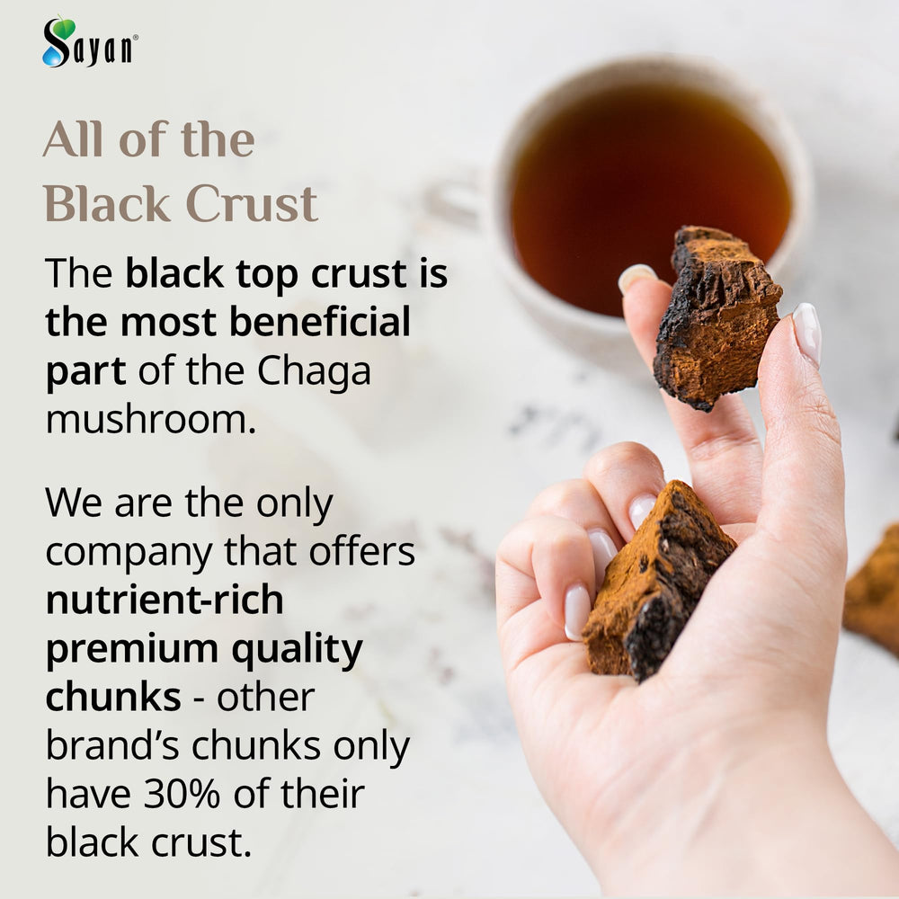 Sayan Siberian Chaga tea brewing in a pot, caffeine-free energy lift.