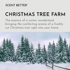 SB Scent Better Christmas Tree Farm diffuser illustrates holiday aroma diffusion for living spaces