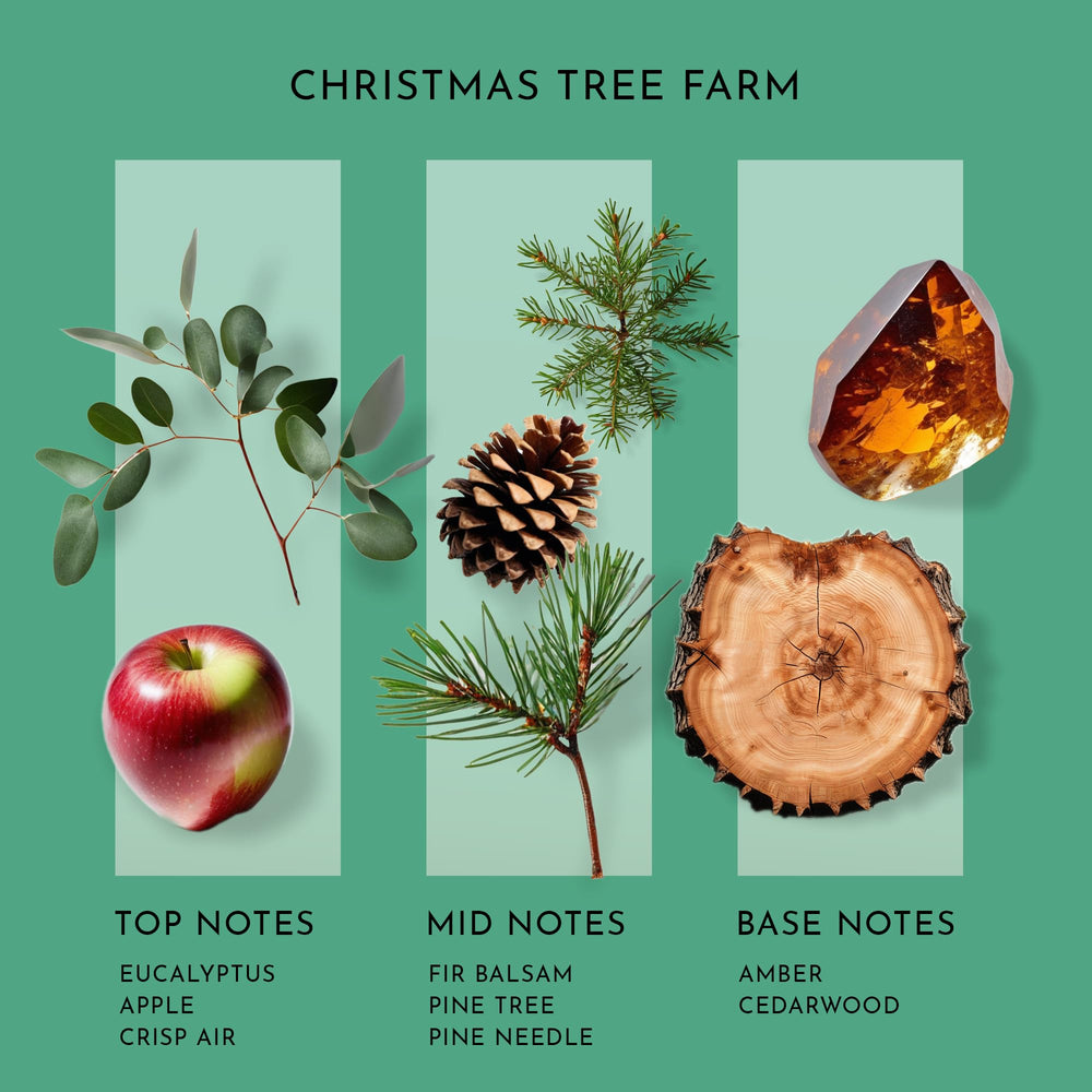 SB Scent Better Christmas Tree Farm packaging highlights premium quality and gift-ready presentation