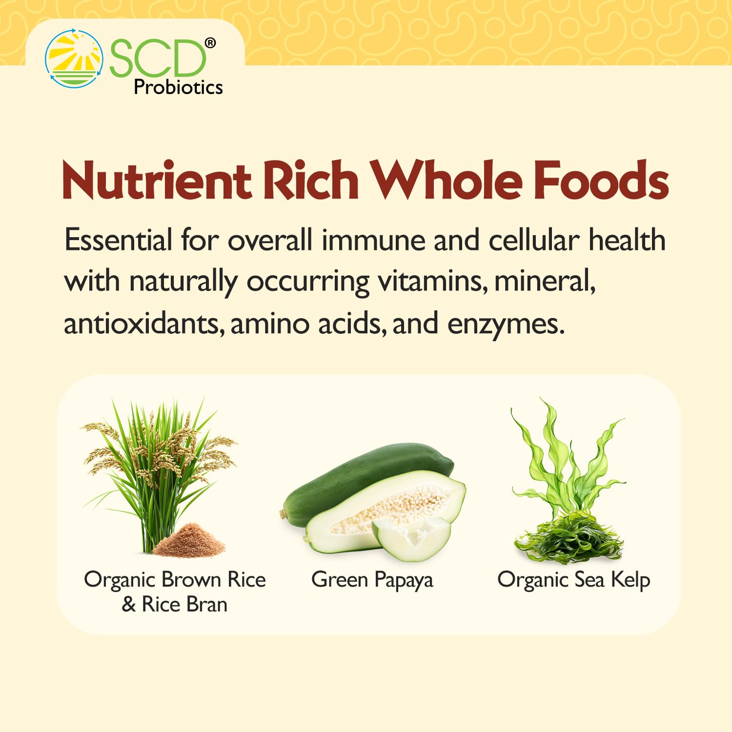 SCD Probiotics Xtra Immunity ingredients scene shows brown rice and sea kelp for essential minerals.