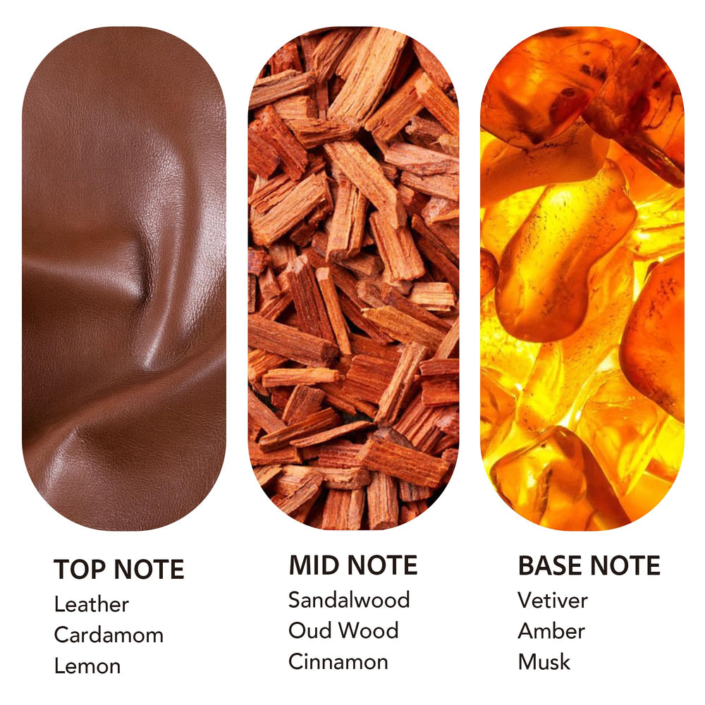 Scent Collection waterless-diffuser compatibility highlights clean, consistent aroma release.