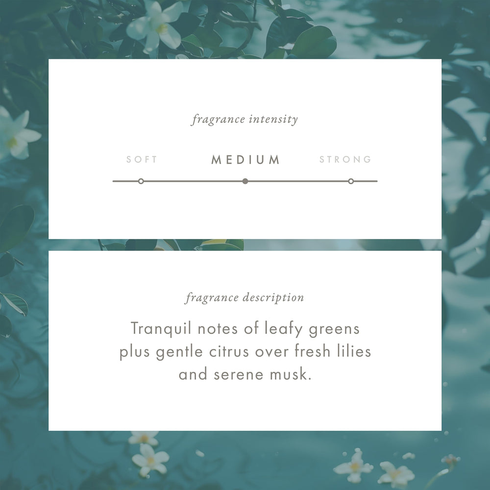 ScentAir Whisper odor-neutralization technology image highlights source-based odor control