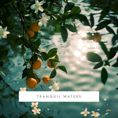 ScentAir Whisper Tranquil Waters cartridge delivers consistent fragrance throughout rooms