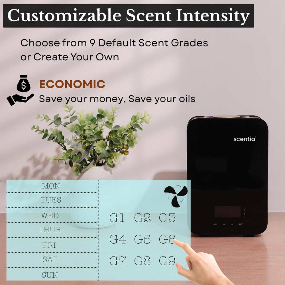Scentia Casa SC2000 with Bluetooth app control enables convenient adjustments.