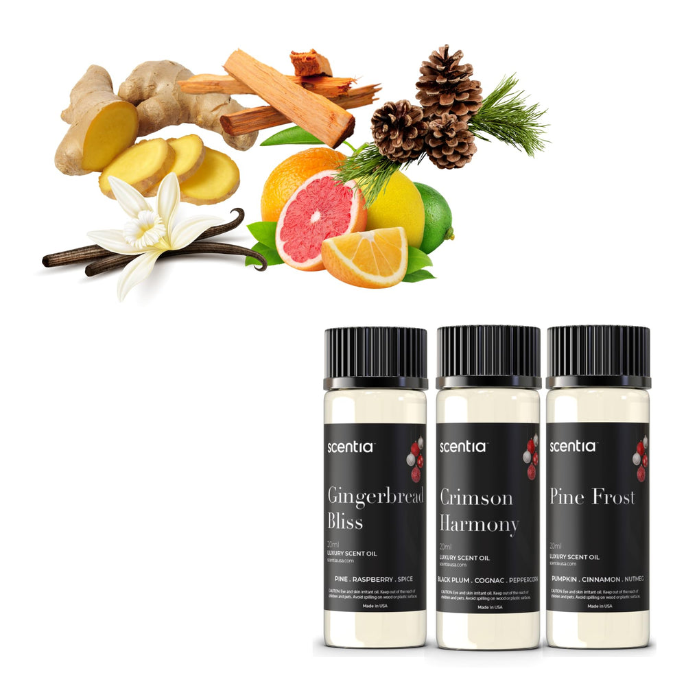 Scentia Christmas fragrance set in use in a diffuser or ambient space