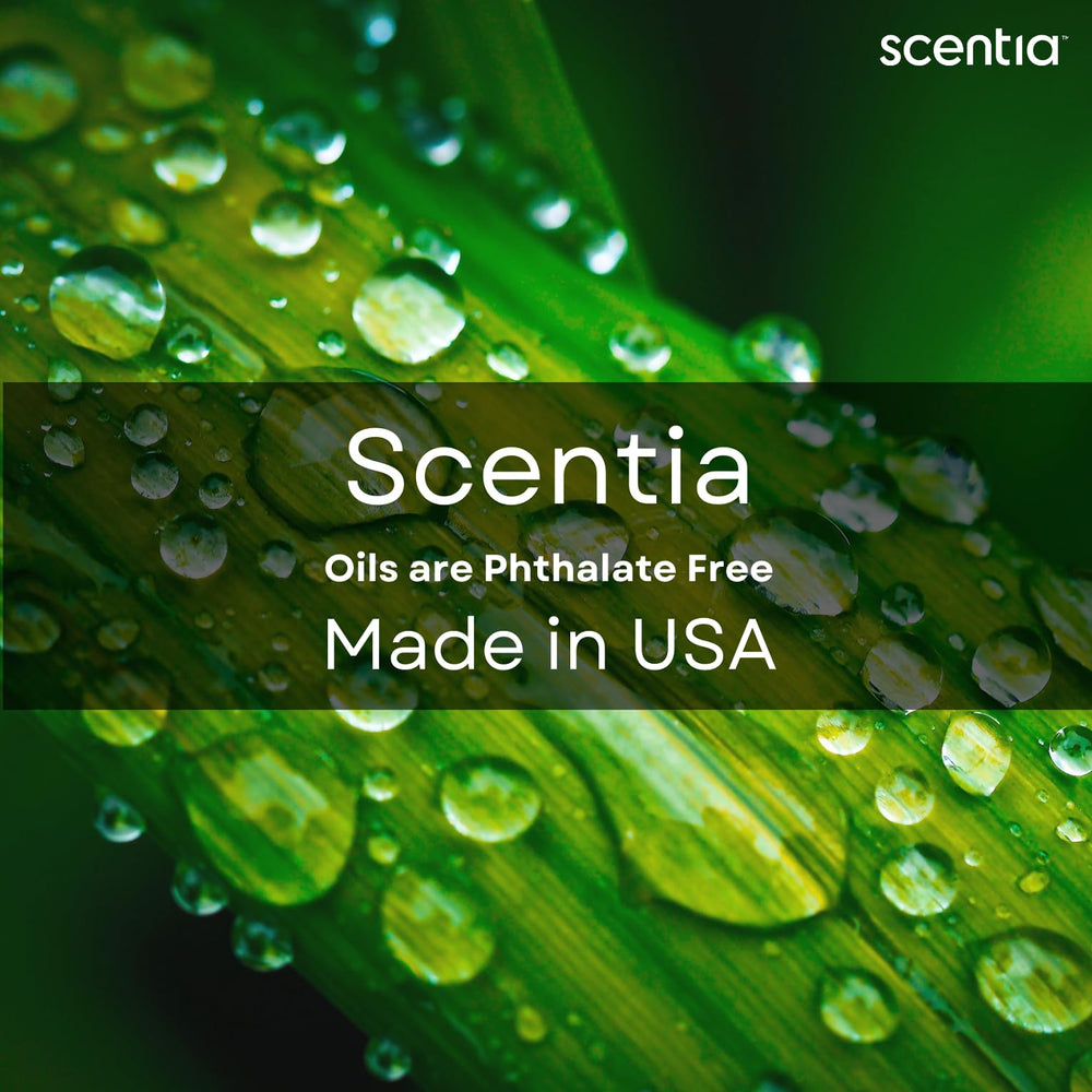 Scentia Dream Away packaging is gift-ready for a premium fragrance gift.