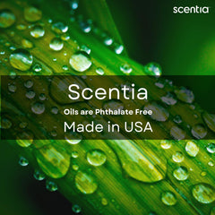 Scentia Dream Away packaging is gift-ready for a premium fragrance gift.