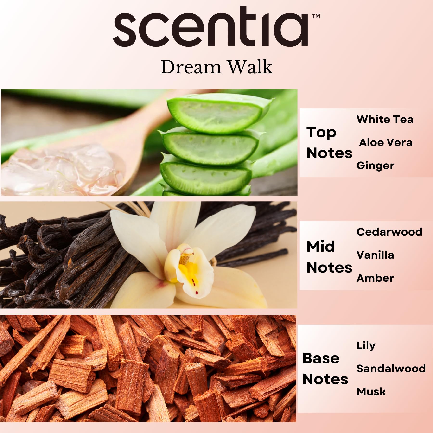 Scentia Dream Walk lemon-sandalwood blend brightening the air.
