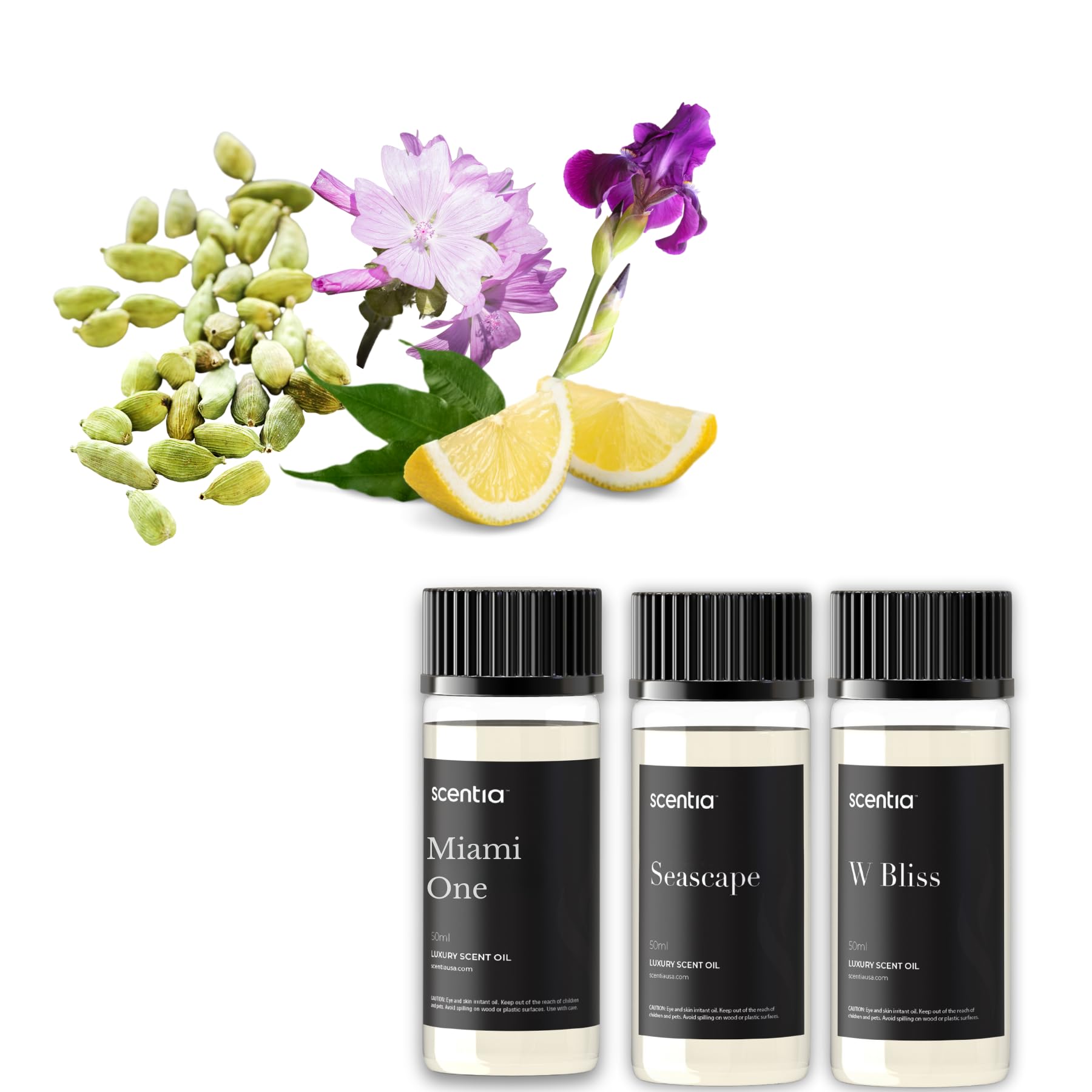 Scentia gift set wrapped packaging ideal for holidays and occasions
