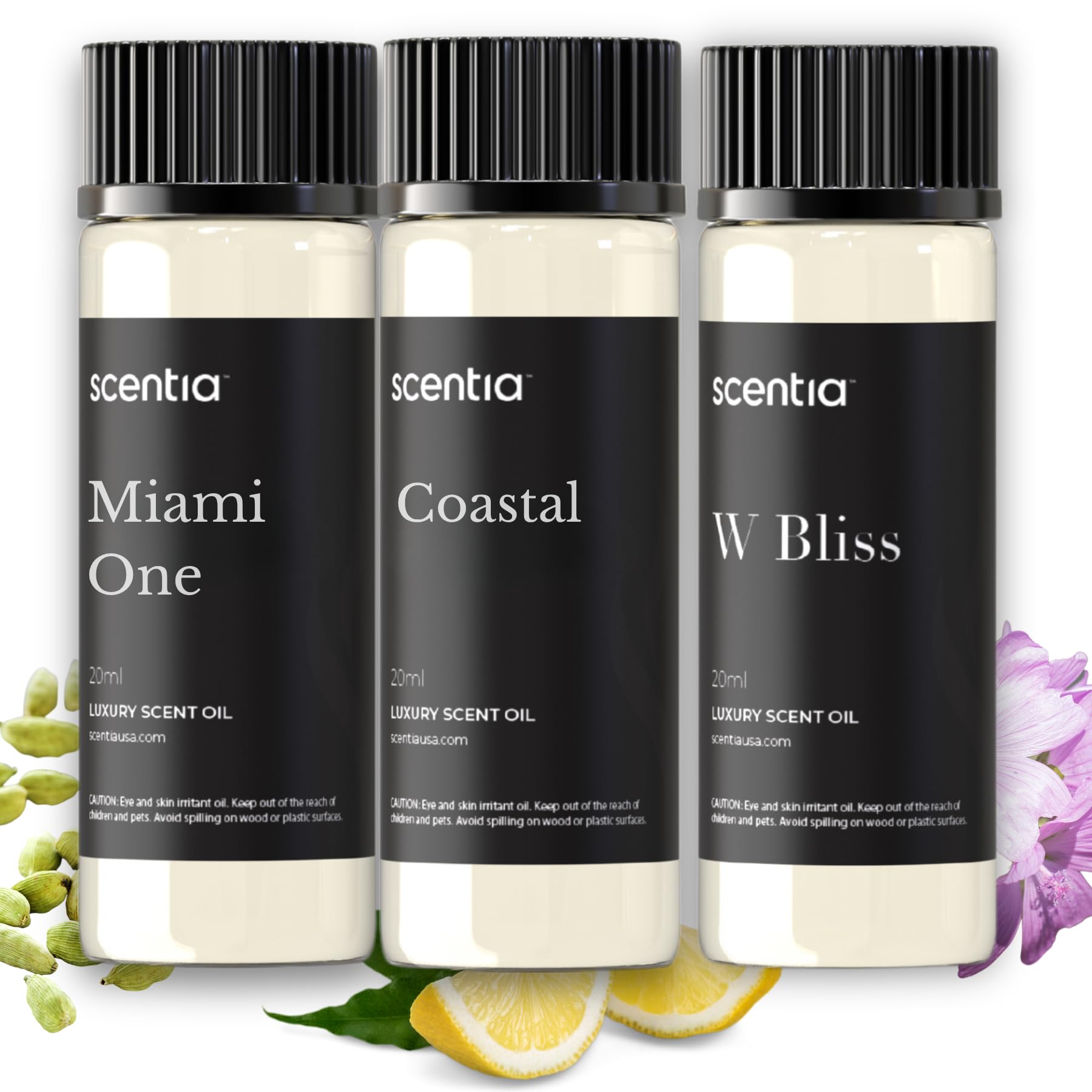 Scentia Miami One bottle with leather notes for upscale ambiance