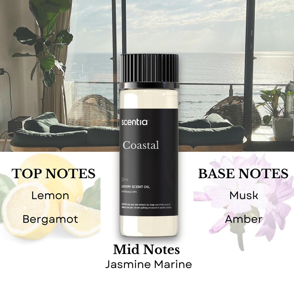 Hotel-inspired Scentia oils in a stylish living room