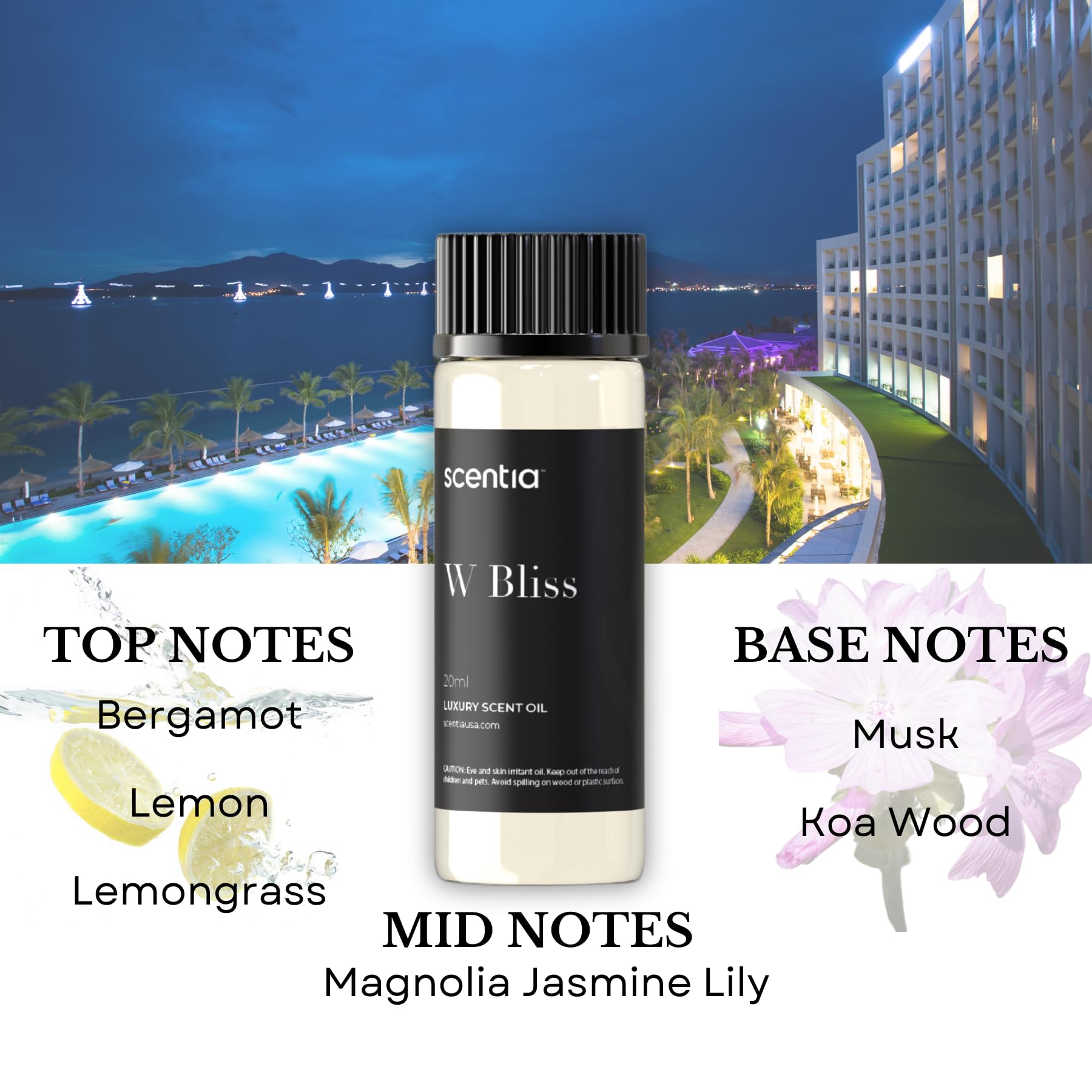 Home diffuser setup with Scentia oils for ambience