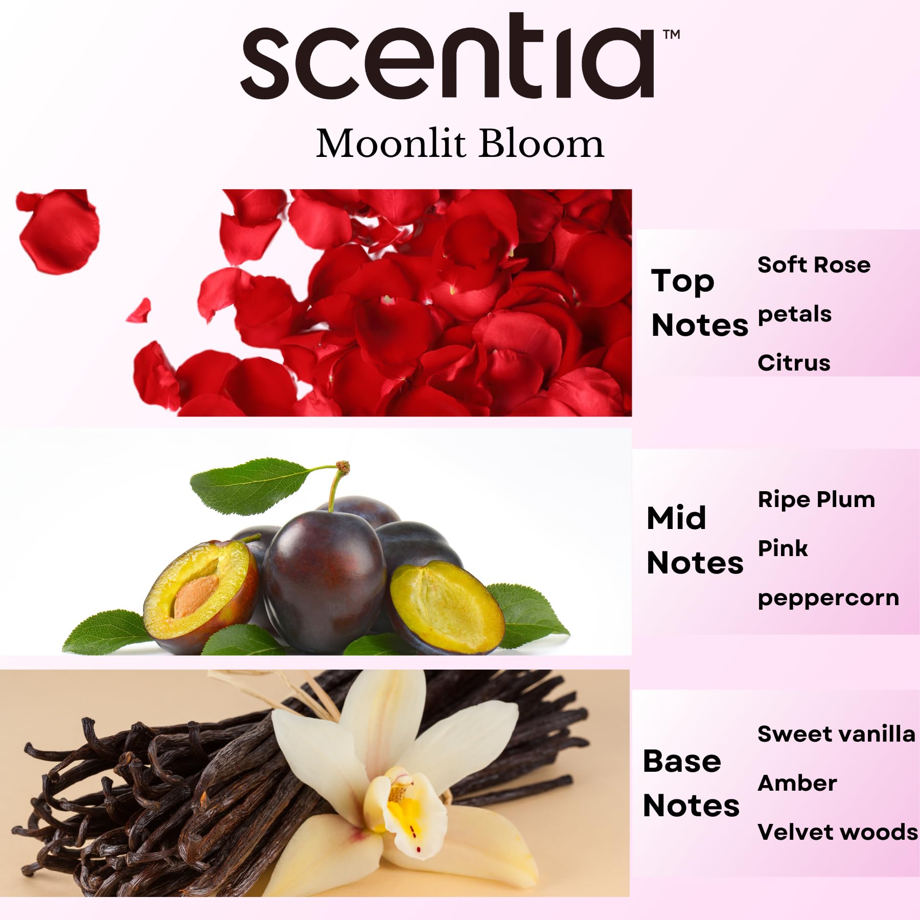 Scentia Love Collection bath and body use for spa-like relaxation.