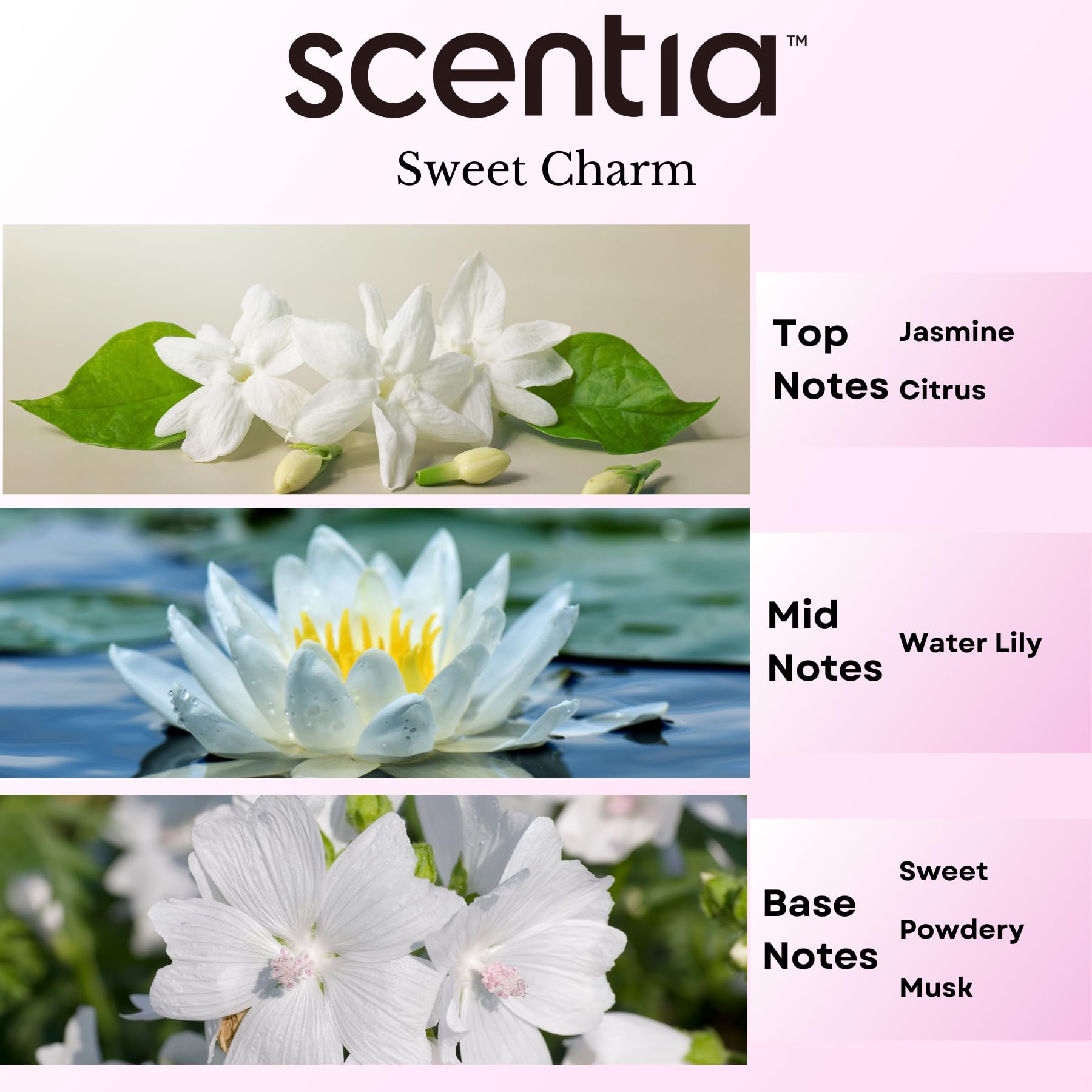 Scentia Love Collection diffuser setup showing aroma diffusion for a room.