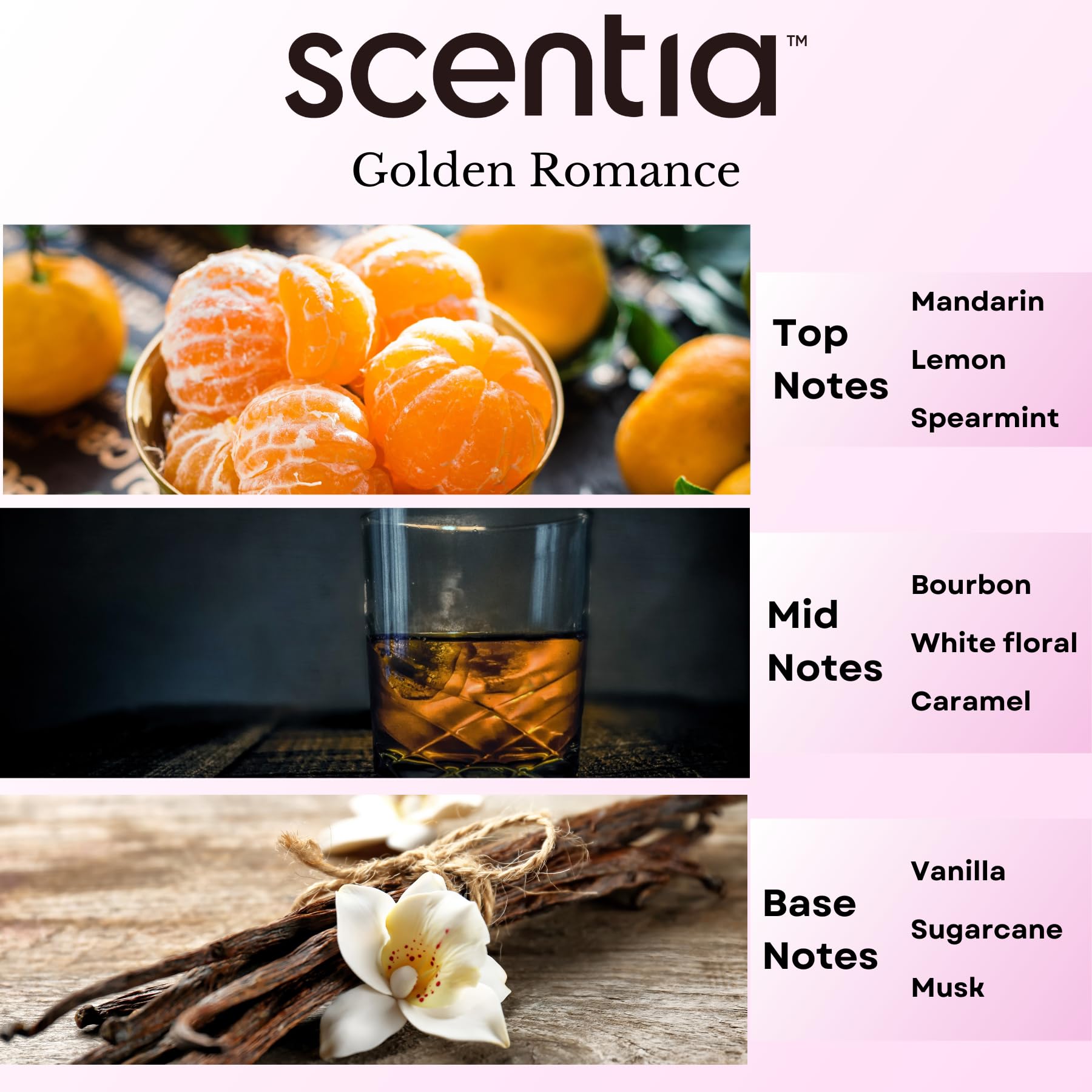 Scentia Love Collection gift-ready packaging, ideal for a thoughtful present.