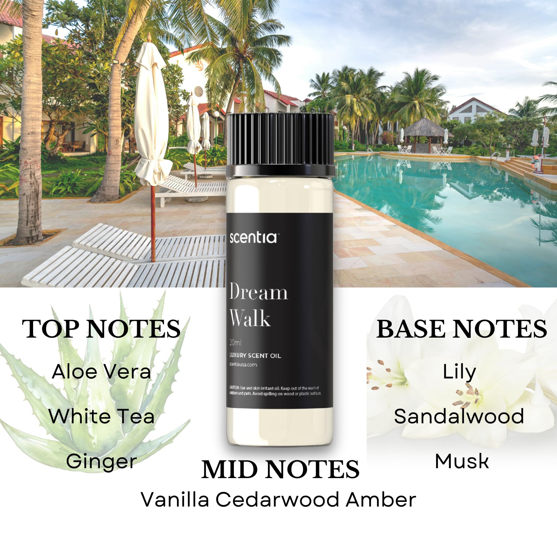 Scentia My Way leather and sandalwood scent for refined spaces