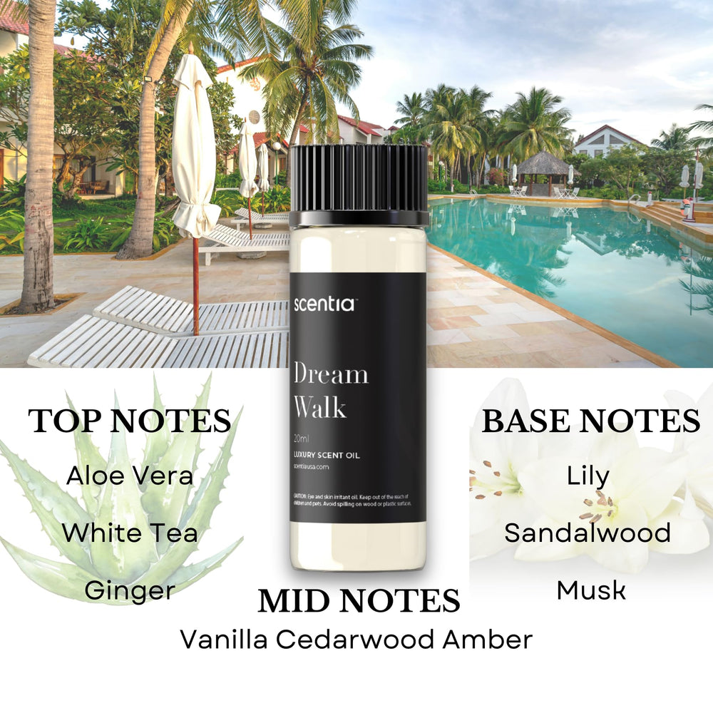 Scentia My Way leather and sandalwood scent for refined spaces