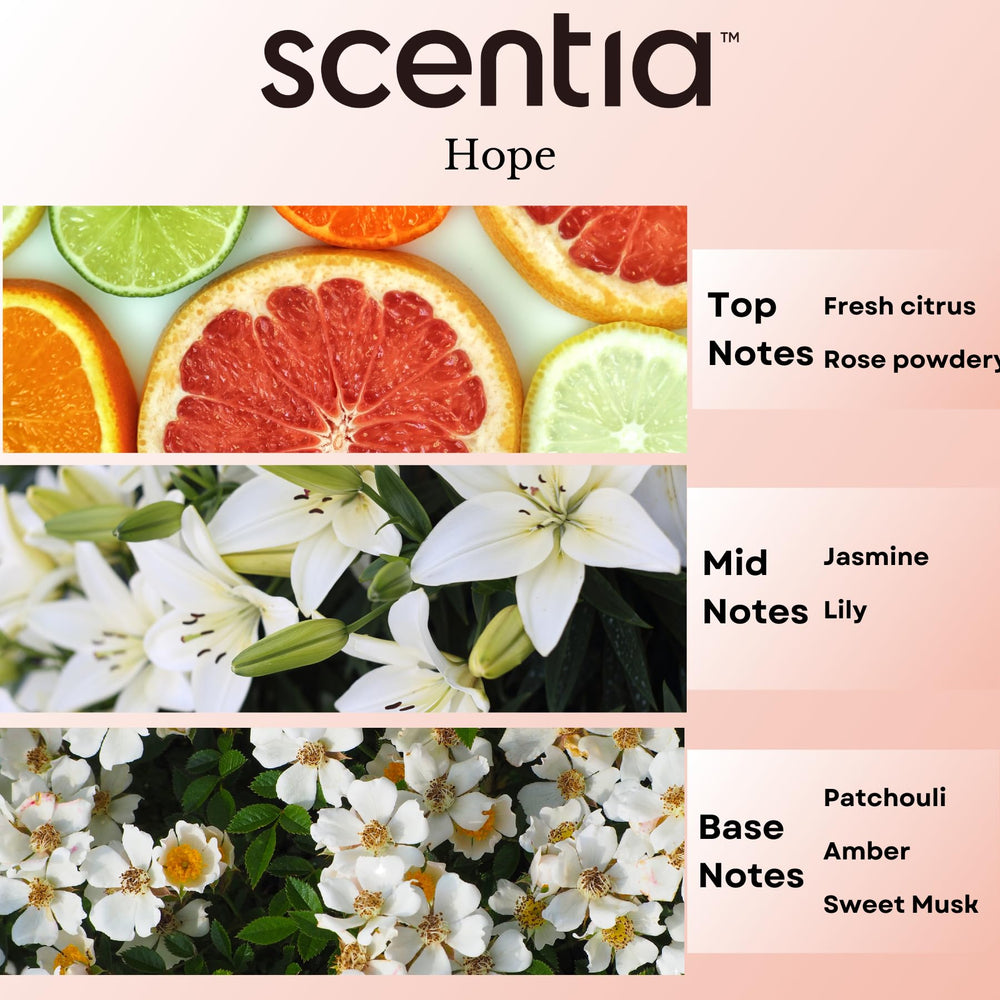 Scentia patchouli-amber base notes adding depth to rooms