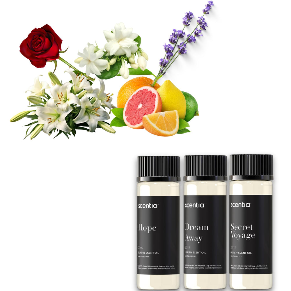 Scentia Secret Voyage collection-display conveys a luxurious gift option