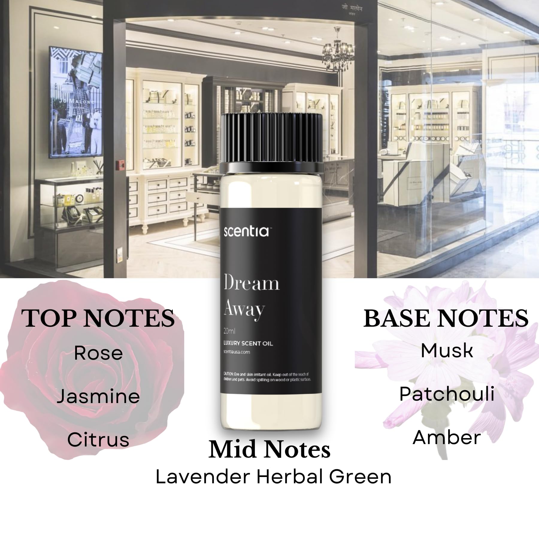 Scentia perfume-inspired set packaging showcases premium quality and gift-ready presentation