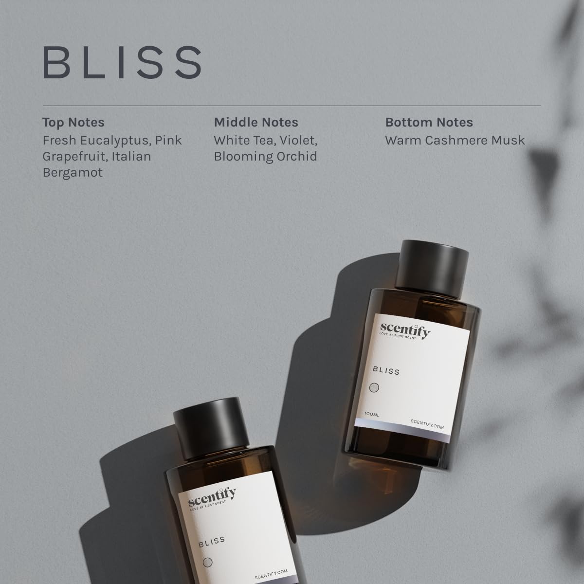 Scentify Bliss top notes of eucalyptus and bergamot energize mood