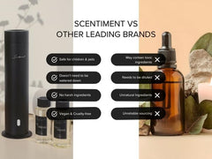 Scentiment Day Dream diffuser oil close-up highlighting premium ingredients