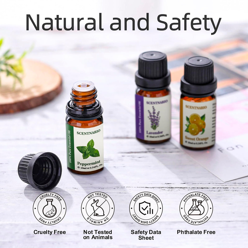 SCENTNARIO lemongrass oil bottle for refreshing atmosphere