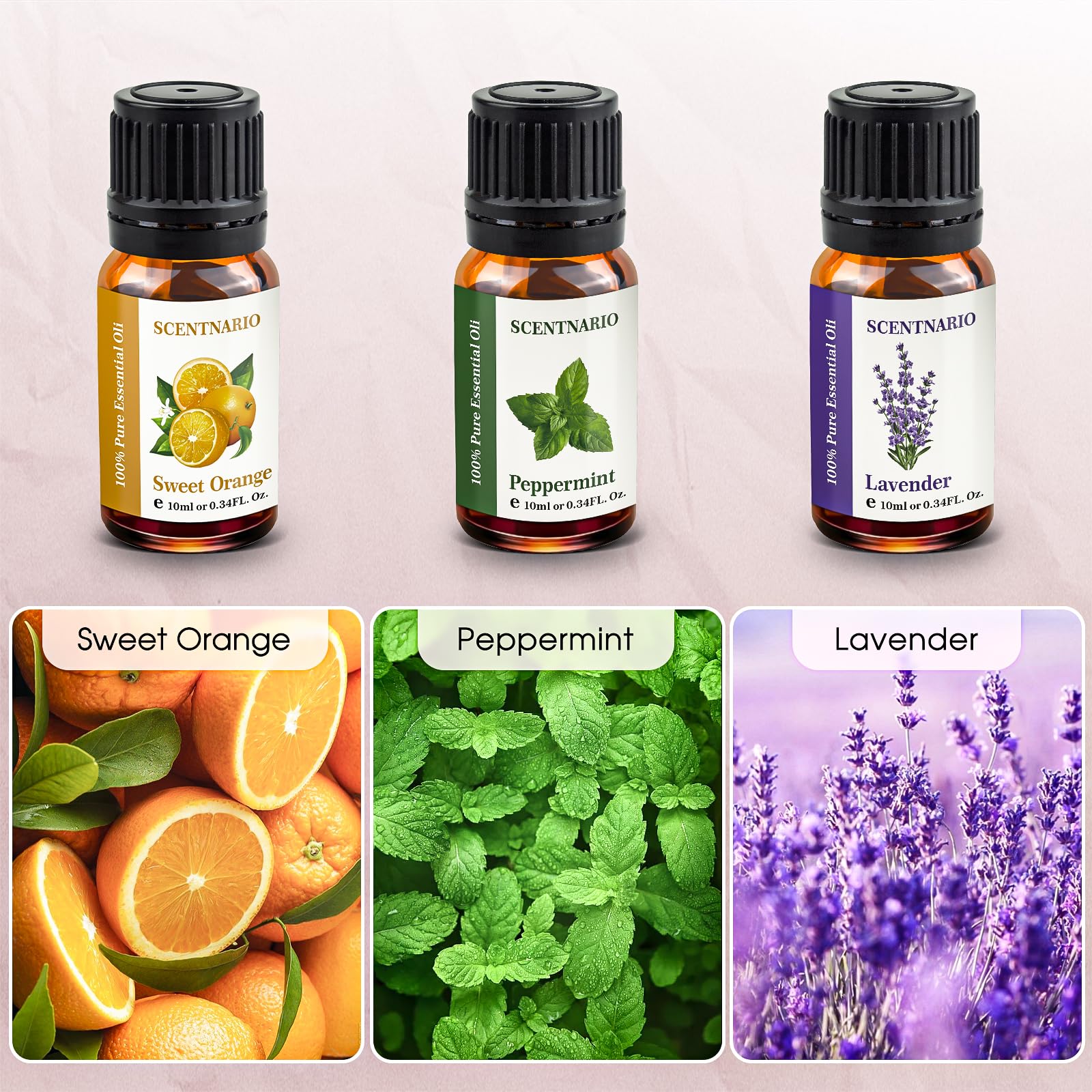 SCENTNARIO peppermint oil bottle boosts focus and energy