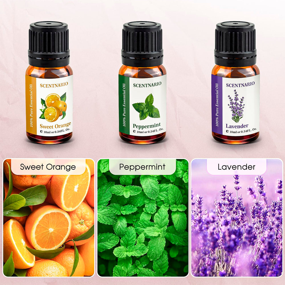 SCENTNARIO peppermint oil bottle boosts focus and energy