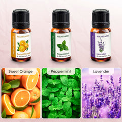 SCENTNARIO peppermint oil bottle boosts focus and energy