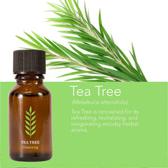 ScentSationals Tea Tree oil in diffuser setup creating calming, aroma-rich ambiance.