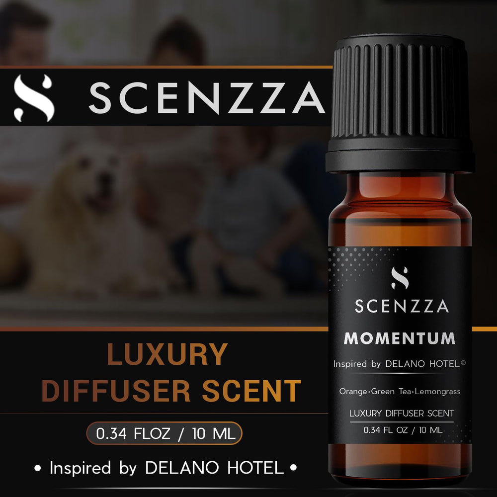 SCENZZA Momentum opening notes visual showcases citrus freshness.