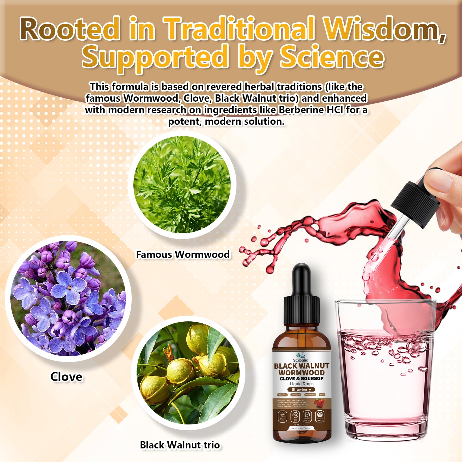 Scibalia oregano oil ingredient signals potent herbal extract.