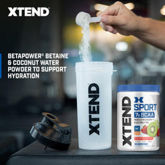 Scivation XTEND Sport BCAA powder label shows 2:1:1 ratio and sugar-free formula.