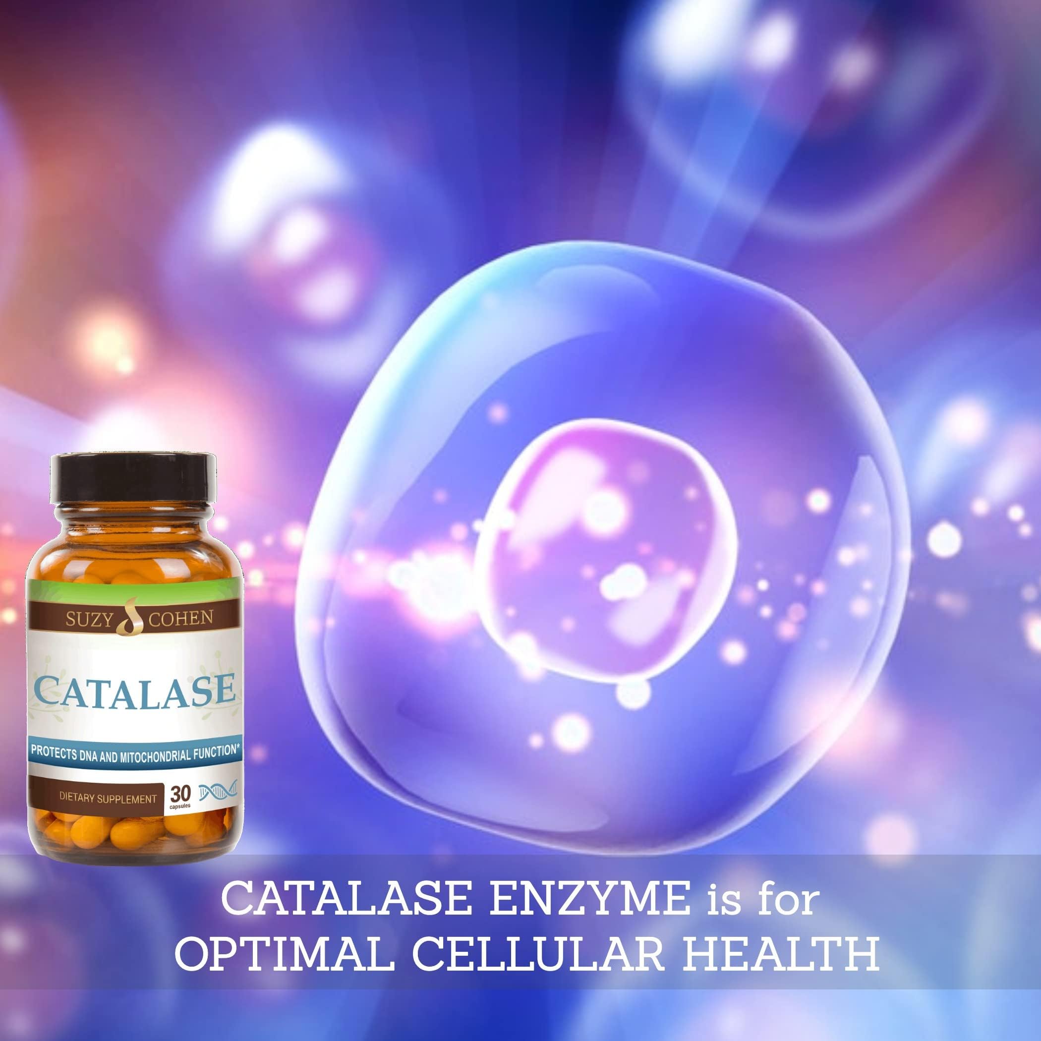 Script Essentials Catalase serving-info card highlighting daily use guidance