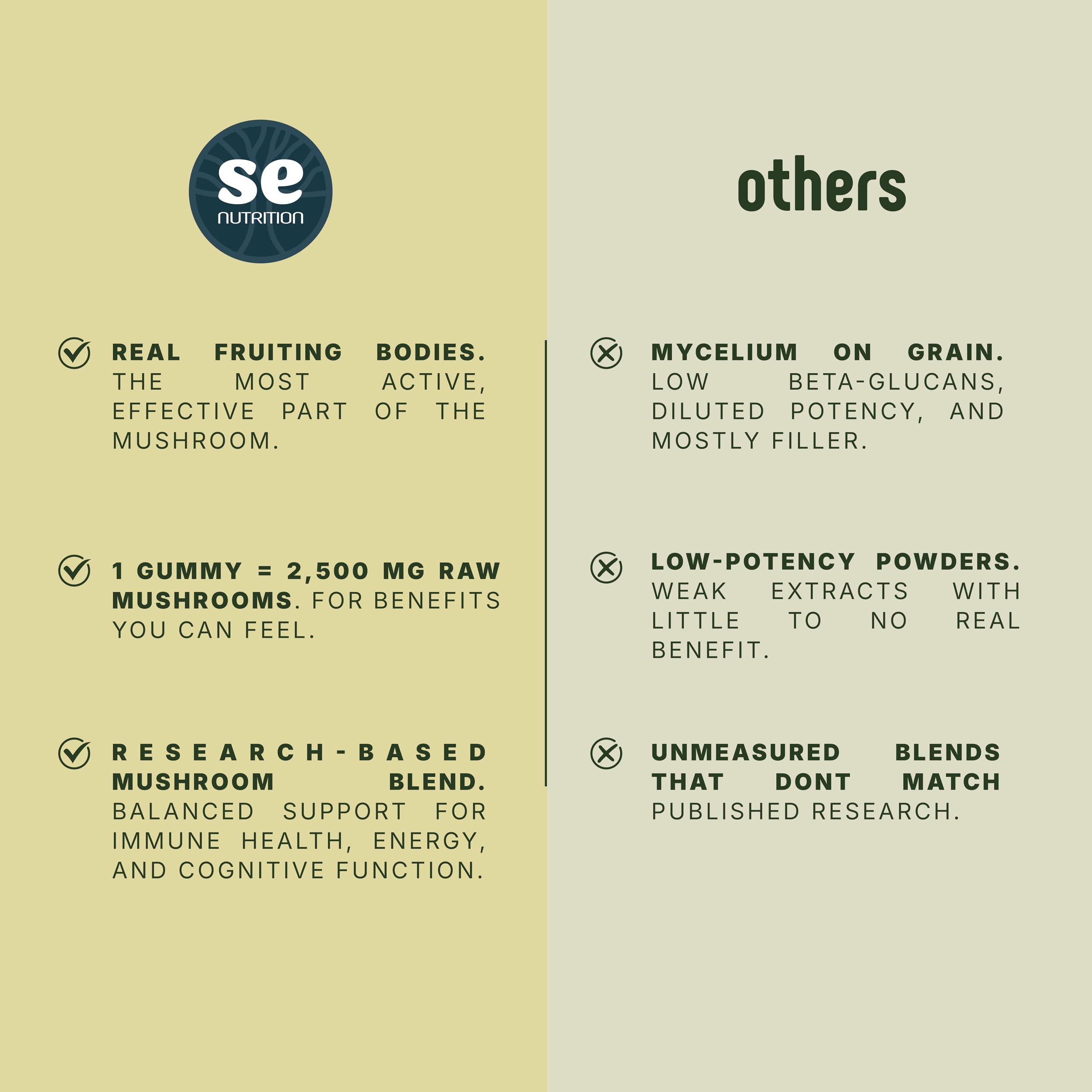 SE Nutrition 10-mushroom blend ingredients list with beta-glucans and polysaccharides.