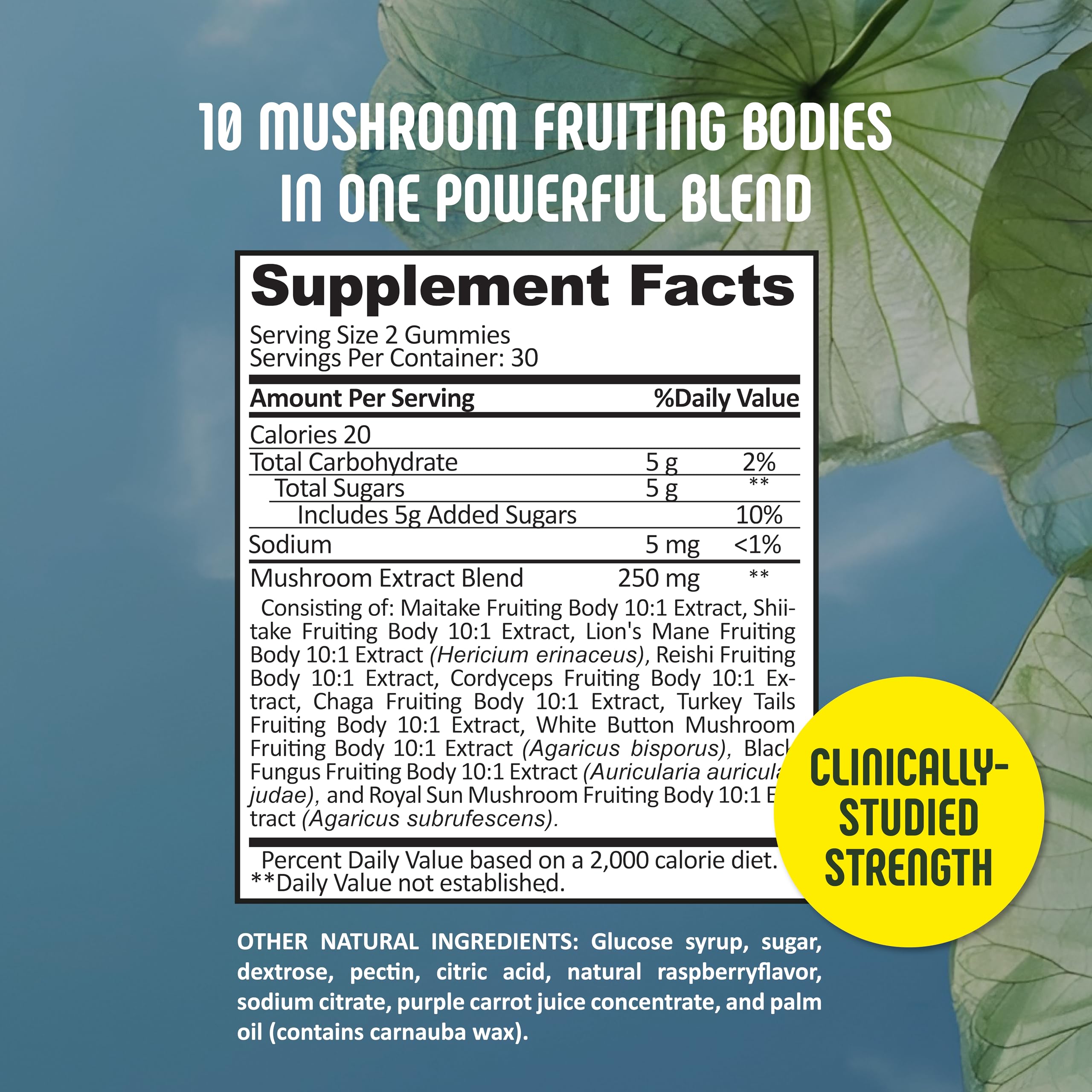 SE Nutrition fruiting bodies label emphasizes premium 10-mushroom complex.