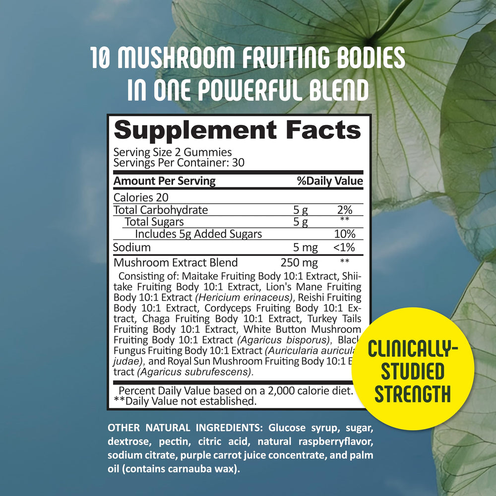 SE Nutrition fruiting bodies label emphasizes premium 10-mushroom complex.